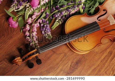 Violin and summer flowers.