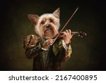 Violinist. Model like medieval royalty person in vintage clothing headed by dog head isolated on dark vintage background. Comparison of eras, artwork, renaissance, baroque style. Contemporary collage.
