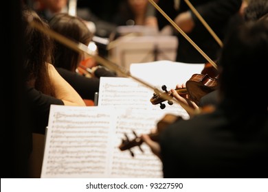 Violinists During A Classical Concert Music