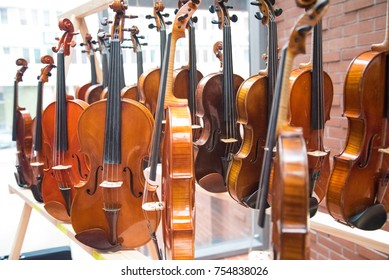 Violins in concert