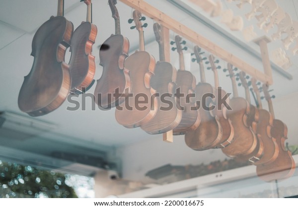 violins in a music\
store