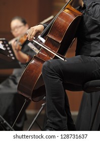 Violoncellist Perform On Wind Music Chamber Music Concert