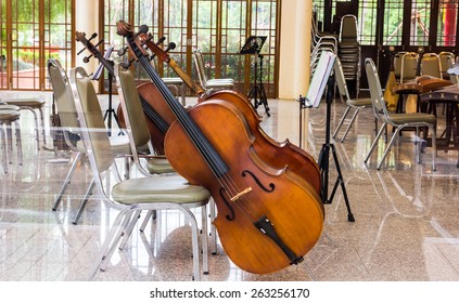 Violoncello In Music Room