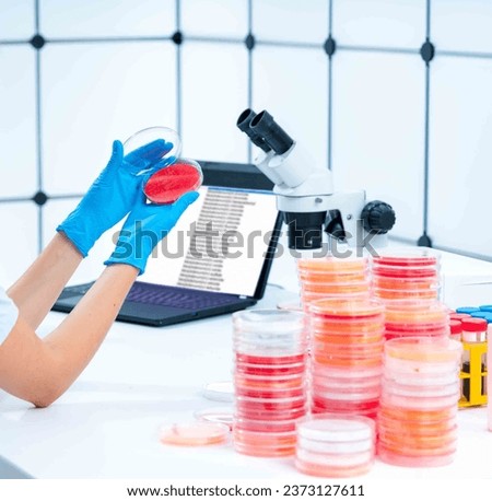 Viral plaque assays: Petri dishes are commonly used in viral plaque assays to quantify the number of viral particles in a sample The dishes support the growth of viruses on susceptible cell