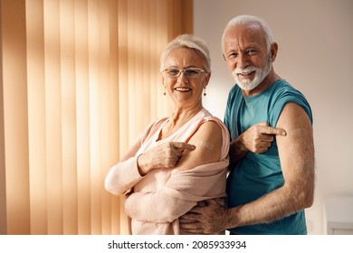 Viral Vaccination And Immunization During Covid 19. A Happy Senior Couple Showing Their Arms After Covid 19 Vaccine With Adhesive Plasters.