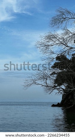 Similar – Strauch mit Booten und Bäumen vor abendlichem Ostseehorizont