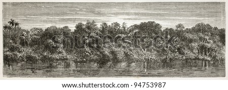 Virgin forest on Amazon river bank. Created by Riou and Laplante, published on Le Tour du Monde, Paris, 1867