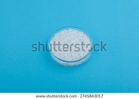Virgin polypropylene pellets or virgin PP granules in glass Petri dish on blue background. Selective focus, copy space. Granulated plastic polymer.