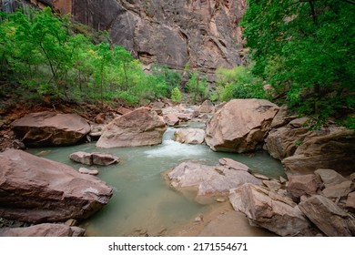 Virgin River On The Rocks