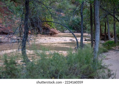 Virgin River In Zion Canyon, Utah, USA.