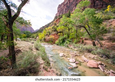 Virgin River In Zion National Park