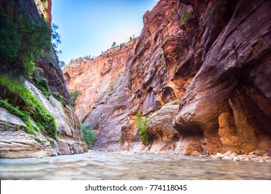 Virgin River In Zion National Park, Utah, USA