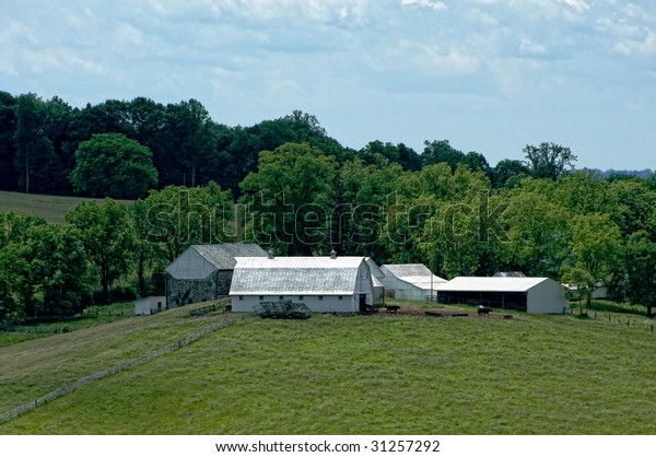 Virginia Cattle Farm Stone Barn Cows Stock Photo Edit Now 31257292