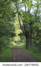 Virginia Creeper National Recreation Trail, Near Alvarado, Virginia