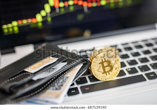 Virtual Currency Wallet Bitcoin Gold Coin Stock Photo Edit Now - 