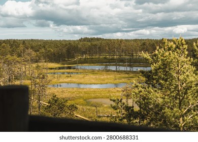 Viru Bog Study Trail in Lahemaa National Park, Estonia. A scenic nature trail leading through diverse landscapes of forests, former sand dunes, elevated ridges, and vast bog fields. A tranquil destina