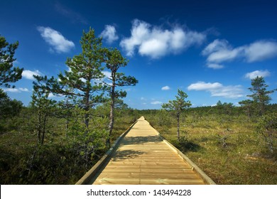 Viru Bogs At Lahemaa National Park