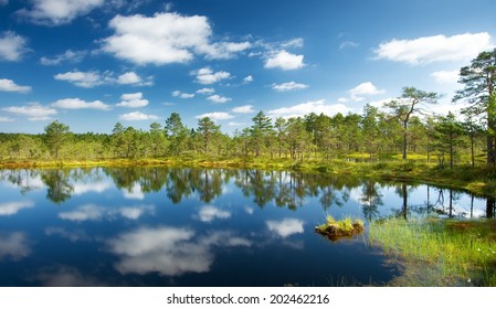 Viru Bogs At Lahemaa National Park