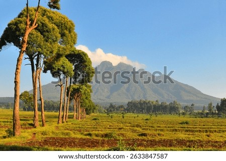Virunga Mountains in Rwanda

Virunga Mountains in Rwanda