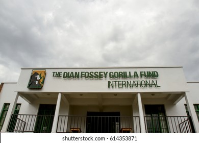 Virunga, Rwanda - February 28, 2017 :   Sign In Front Of The Dian Fossey Gorilla Fund International Research Center In Virunga, Rwanda.