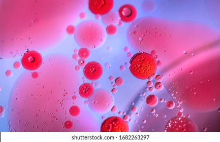 Virus cells or bacterias under microscope. Germs microbe microorganism close-up. macro photography. Medical, diseases Concept background. coronavirus COVID-19 - Shutterstock ID 1682263297