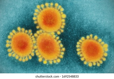 Virus Under Microscope Close Up, COVID 19