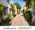 Visby, Sweden. Street with colorful buildings in historical Visby town. Scandinavia, Gotland, Northern Europe