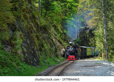 Viseu de Sus, Maramures, Romania: May 25 2021: Forestry railway locomotive 