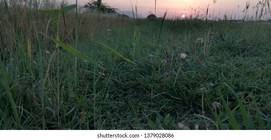 visible dew drops in sunlight