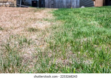 Visible distinction between healthy lawn and chemical burned grass.  - Shutterstock ID 2253268243