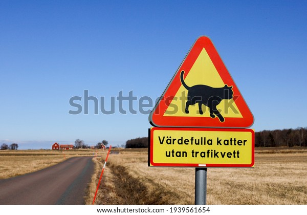Visingso, Sweden A beware of cats triangular
sign in a neighborhood, and a sign saying in Swedish: 