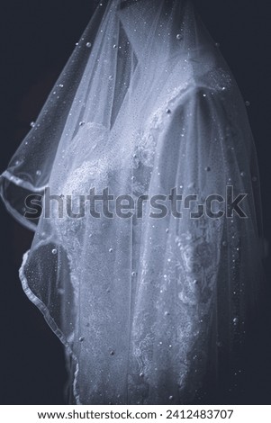 Similar – sad bride in wedding dress and long veil