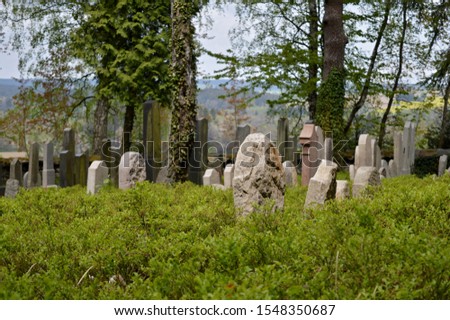 Visit to the abandoned Jewish cemetery during spring season, cementery near 
Kamenice nad Lipou, Vysocina, Czech Republic 