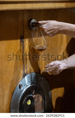 Visit of wine cellar with old large oak barrels, pouring of fortified dry or sweet tasty marsala wine from barrels in Marsala, Sicily, Italy, wine industry