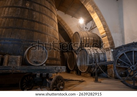 Visit of wine cellar with old large oak barrels, production of fortified dry or sweet tasty marsala wine in Marsala, Sicily, wine industry in Italy