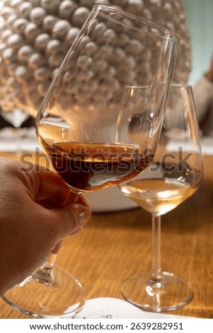 Visit of wine cellar with old large oak barrels, tasting glasses with fortified dry or sweet tasty marsala wine in Marsala, Sicily, wine industry in Italy