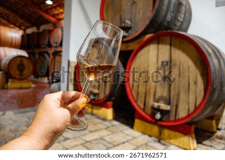Visit of wine cellar with old large oak barrels, glass of fortified dry or sweet tasty marsala wine from barrels in Marsala, Sicily, Italy, wine industry