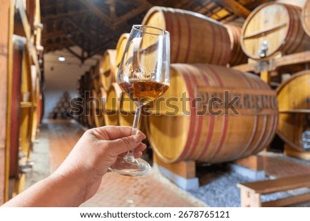 Visit of wine cellar with old large oak barrels, hand holding glass of fortified dry or sweet tasty marsala wine from barrels in Marsala, Sicily, Italy, wine industry