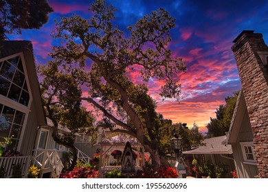 Visiting Carmel By The Sea In California