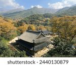 Visiting Hwaeomsa Temple, one of the 10 most famous temples in South Korea while walking with friends along Jirisan Dullegil Trail (Banggwang to Sandong) during peak foliage season in late October.