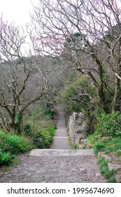 Visiting Killiney Hill In Ireland