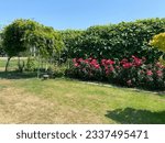 Visiting the winery on lulu island, British Columbia, canada, where there is a beautiful garden full of flowers and a growing flower field across the street