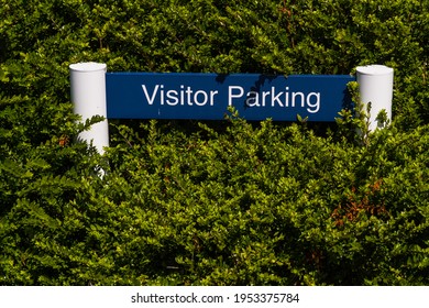 Visitor Parking Sign, Bush Background.