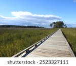 Visitors can enjoy the beautiful scenery, while hiking the Tubby Cove Boardwalk Trail within the Eastern Neck National Wildlife Refuge, Kent County, Rock Hall, Maryland.