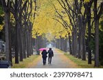 Visitors to the Central Cemetery in Vienna in an avenue from behind, Austria
