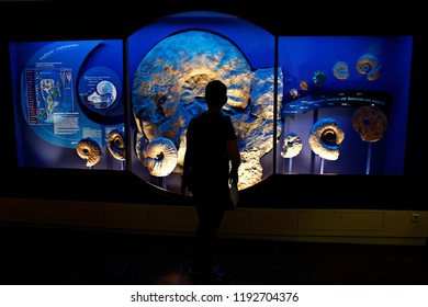 Visitors Take A Guided Tour At The Selection Of  Minerals And Rocks In Museum Of Natural History And Technology In Salzburg, Austria On Sep. 22, 2018.