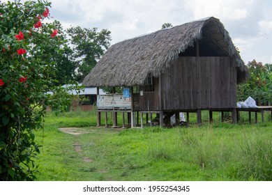 Vistas De Los Llanos Orientales En Colombia