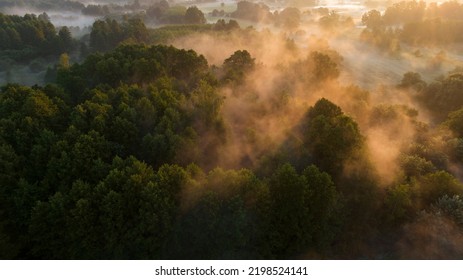 Vistula Oxbow Lake In The Fog At Sunrise