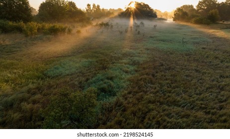 Vistula Oxbow Lake In The Fog At Sunrise