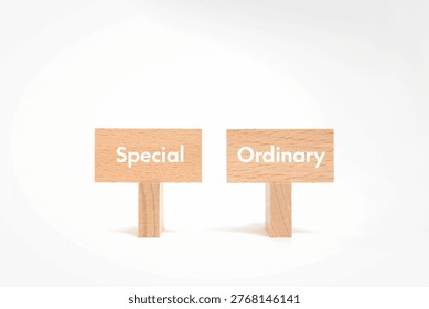 Visual comparison of Special or Ordinary using minimalist props, authentic illustrative image for business blog and presentation eyecatcher.